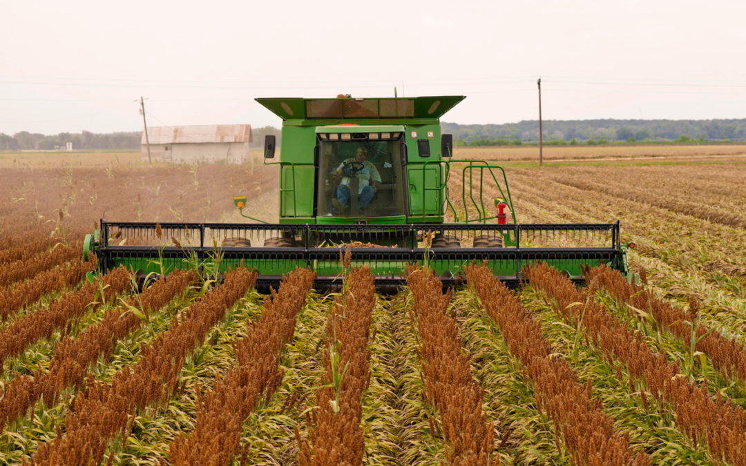 Tips for a Safe Harvest