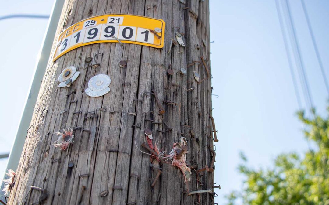 power pole with staples and nails sticking out of it