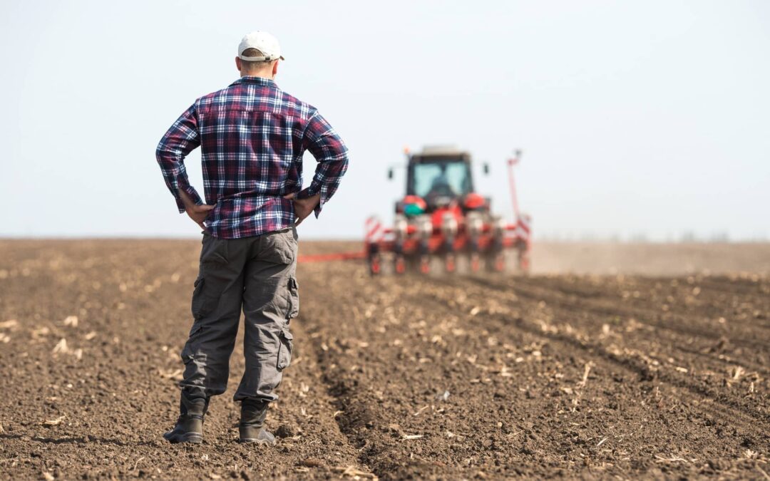 Remember Electrical Safety During Spring Planting