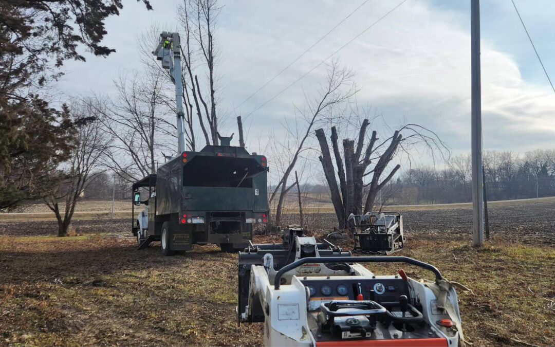 Ensuring Reliable Power: Meeker Cooperative’s Proactive Vegetation Management Program