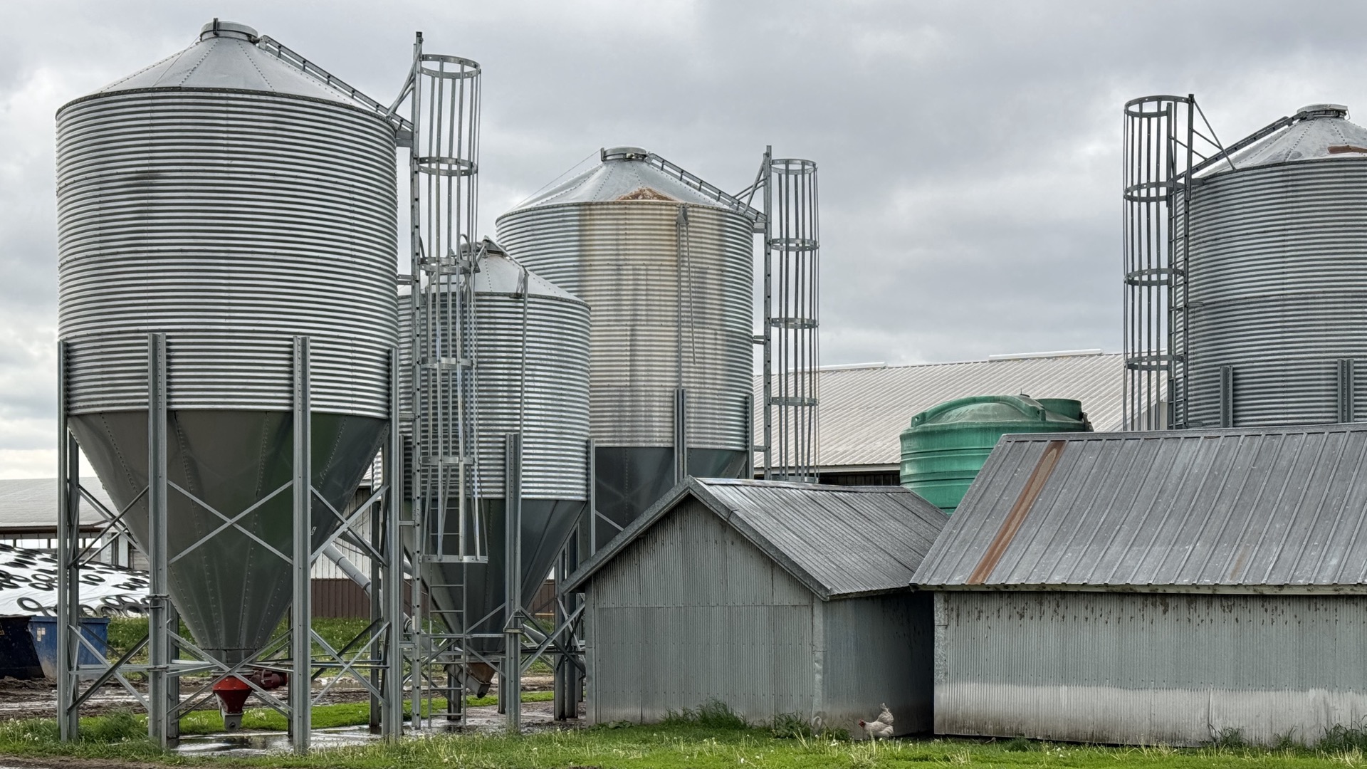 Farm 1 On the farm 6